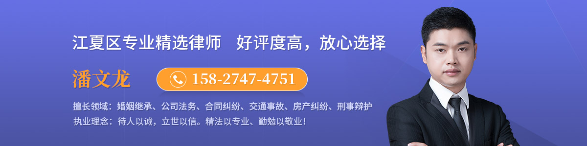江夏区律师潘文龙
