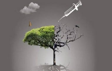 毒品犯罪最新司法解释