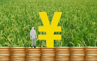 国家田地征收标准是怎么规定的
