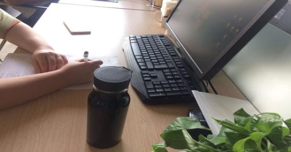 续签个人劳动合同书怎么填写