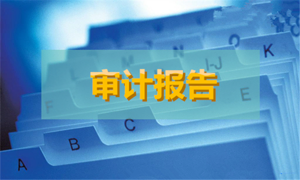 事业单位清算审计报告怎么写