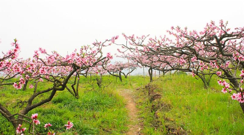 2018年城镇土地使用税计算