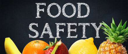食品安全标准分类