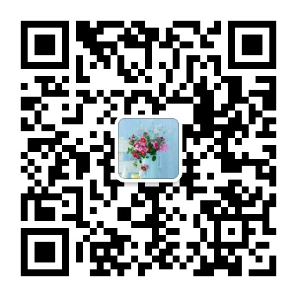 吴禹娴律师