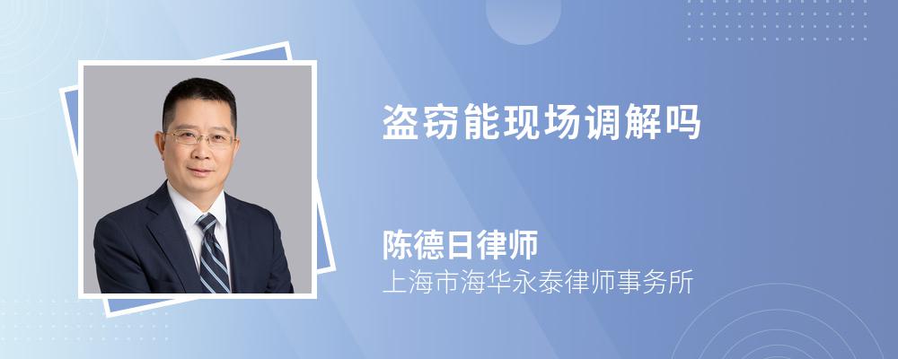 盗窃能现场调解吗 盗窃能现场调解吗
