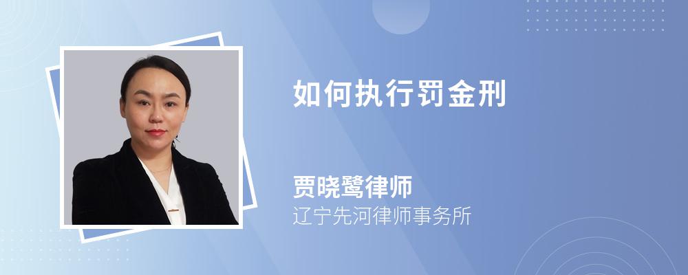 如何执行罚金刑 如何执行罚金刑