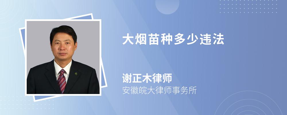 大烟苗种多少违法