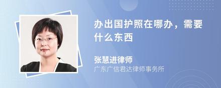 办出国护照在哪办，需要什么东西