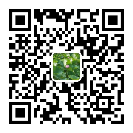 凌建国律师