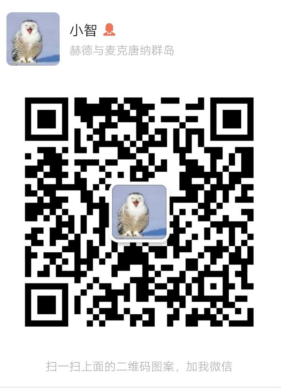 智联丽律师