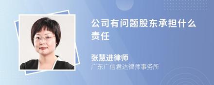 公司有问题股东承担什么责任