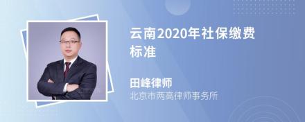 云南2020年社保缴费标准